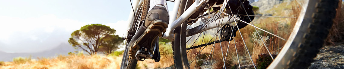 Fahrrad