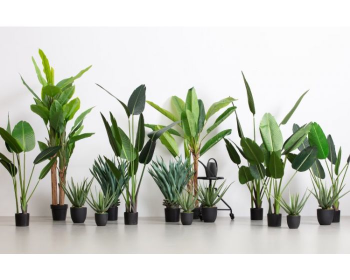 WOOOD Strelitzia Knstliche Pflanze grn kaufen? | Heuts.de