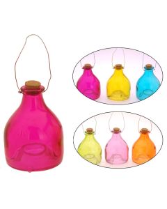 Wespenfänger Glas