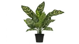 WOOOD Aglaonema Kunstpflanze grün 50 cm