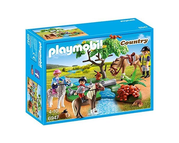 Playmobil Country Reitstunde 6947