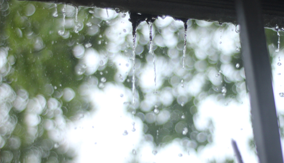 Wetter